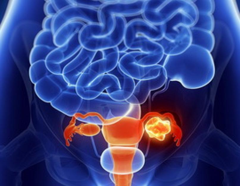 Žmogaus reprodukcinės sistemos sandaros ir funkcijos ypatumai.  Moterų reprodukcinės sistemos struktūra ir funkcijos.  Vyrų reprodukcinė sistema susideda iš