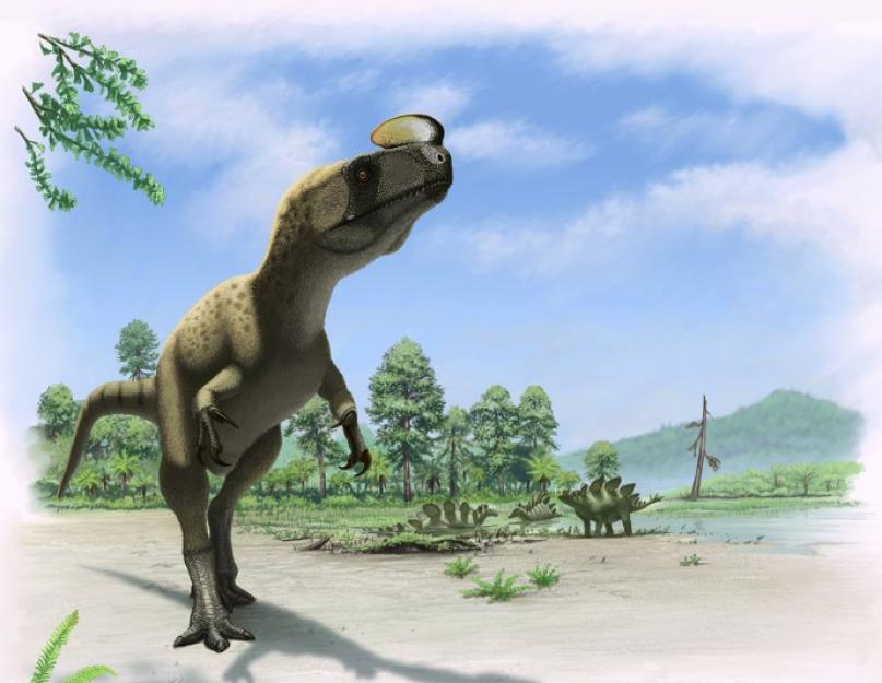 Период когда жили динозавры. Могут ли динозавры еще где-нибудь жить? Жизнь на земле