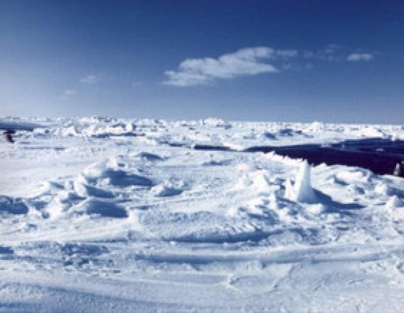 مناطق الصحراء الجليدية.  نباتات وحيوانات القطب الشمالي.  تأثير الإنسان على المنطقة الطبيعية لصحاري القطب الشمالي