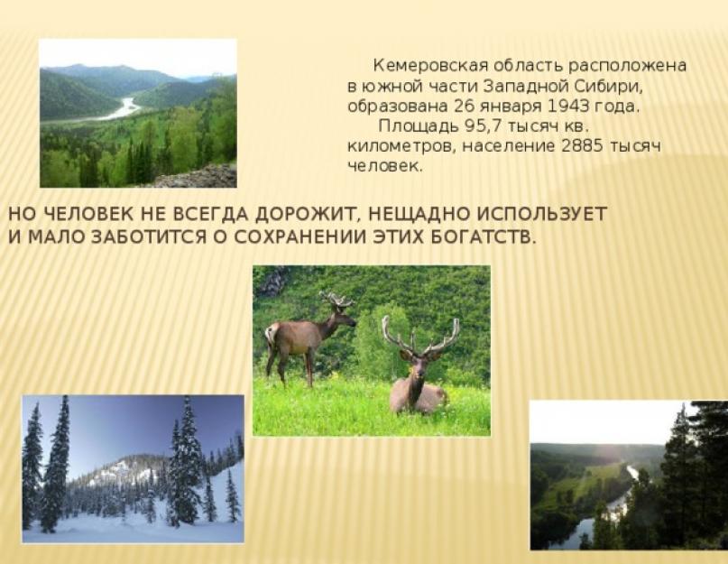 Kuzbass tartalékai.  A Kemerovo régió tartalékai.  Természetvédelmi Területek és Nemzeti Parkok