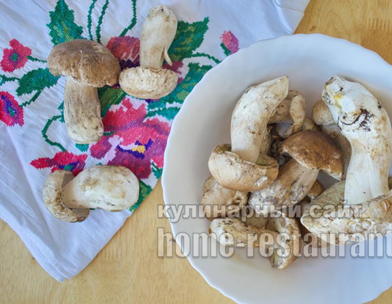 Прості рецепти приготування білих грибів на зиму.  Найкращі способи консервування грибів