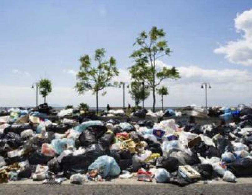 الاستفادة من النفايات الصلبة البلدية على تجربة مختلف دول العالم.  كيف تتعامل الدول المختلفة مع القمامة