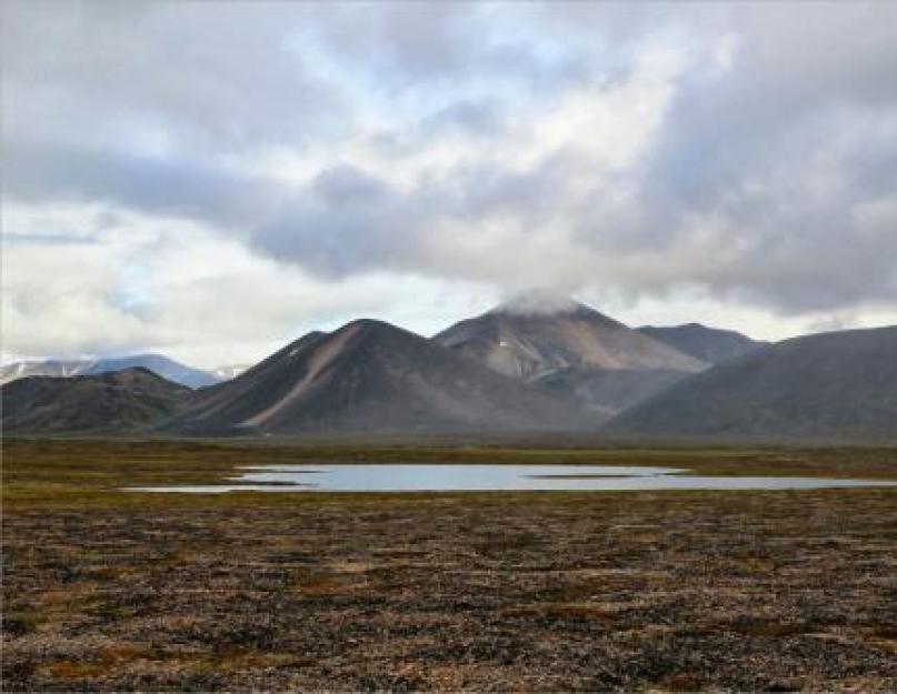 Čukotska visoravan je oblast planinskih visina i dubokih jezera.  Geografski položaj Čukotskog autonomnog okruga Flora Čukotke