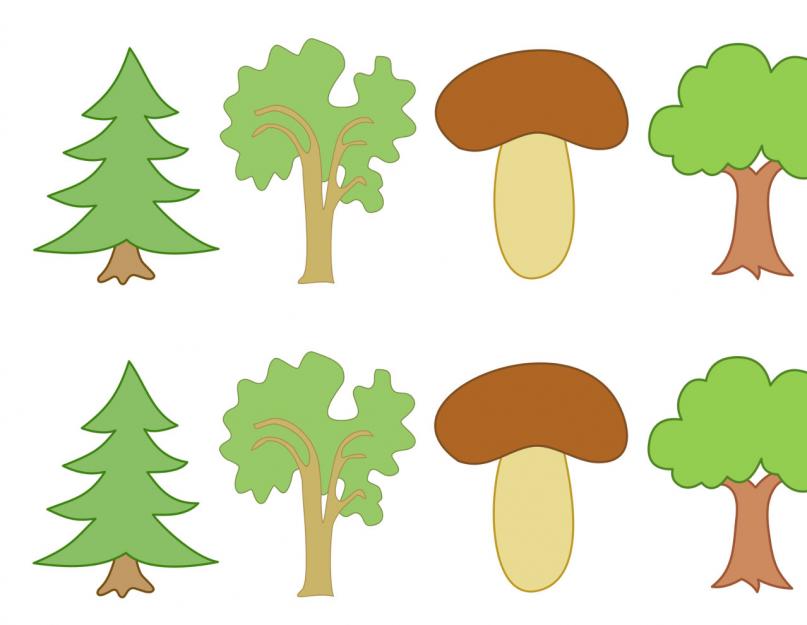 GCD santrauka vyresniojoje grupėje vaikams, turintiems protinį atsilikimą, tema: Medžiai.  Pamokos vyresniųjų grupėje santrauka „Medžiai – ne tik Žemės puošmenos
