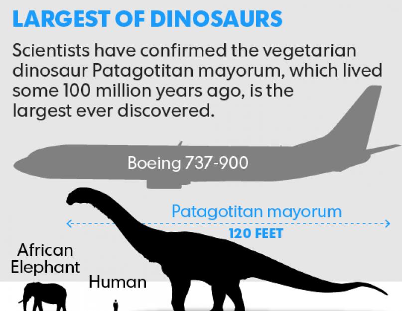 Mennyit nyom a világ legnagyobb dinoszaurusza.  A legkisebb húsevő dinoszauruszok