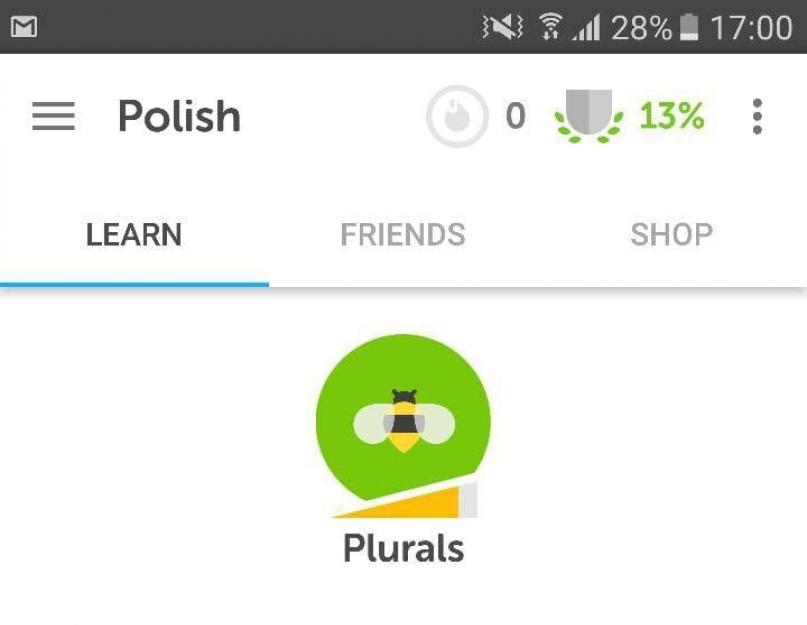 Изучение польского языка самостоятельно бесплатно. Книги для изучения польского языка
