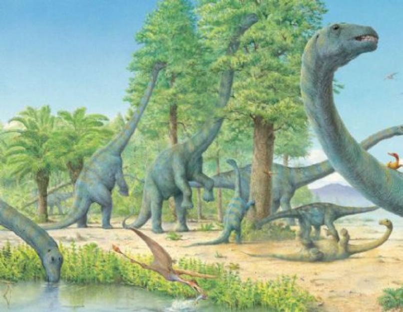A legnagyobb dinoszauruszok a bolygón.  Ki a legnagyobb dinoszaurusz