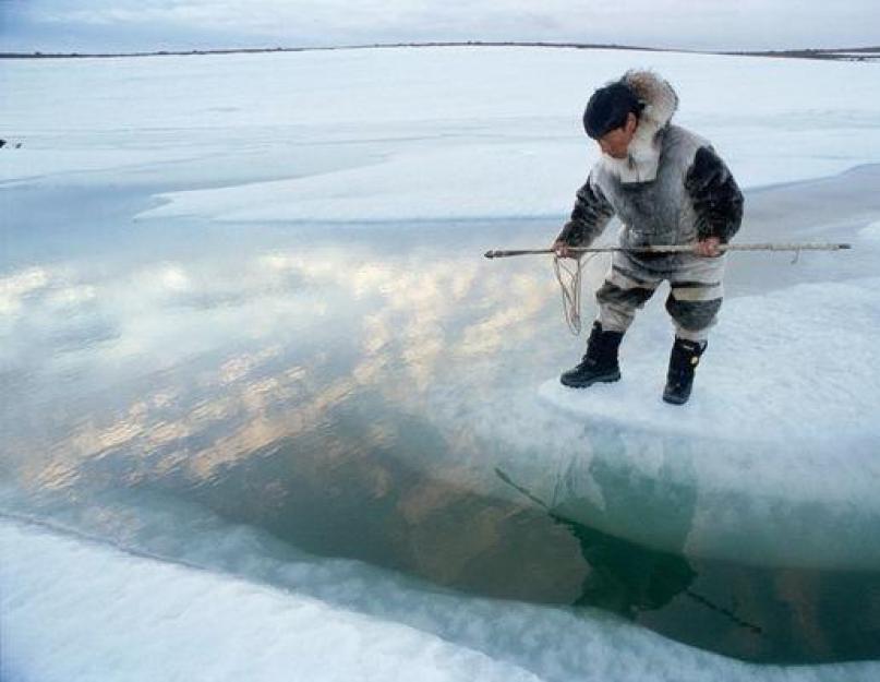 Az az éghajlati zóna, ahol az eszkimók élnek.  Titokzatos emberek - eszkimók (11 kép).  Az orosz eszkimók a Magadan régió Csukotka autonóm körzetében élnek.  Kevesebb mint 2000 eszkimó él Oroszországban