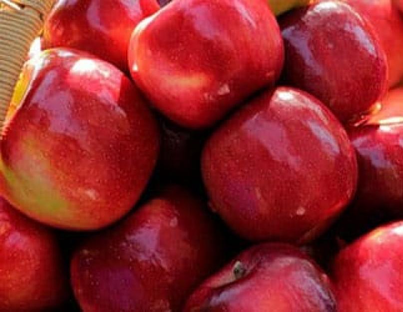Miért álmodnak a nők almáról: egy álomkönyv piros, zöld, nagy, szedett és érett almáról.  Piros alma a fán