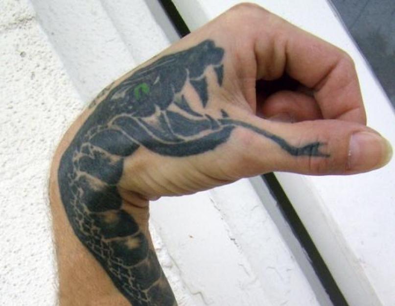 Что означает змея на плече. Значения татуировок: змеи и их символика. Змеи к чему снятся, толкование