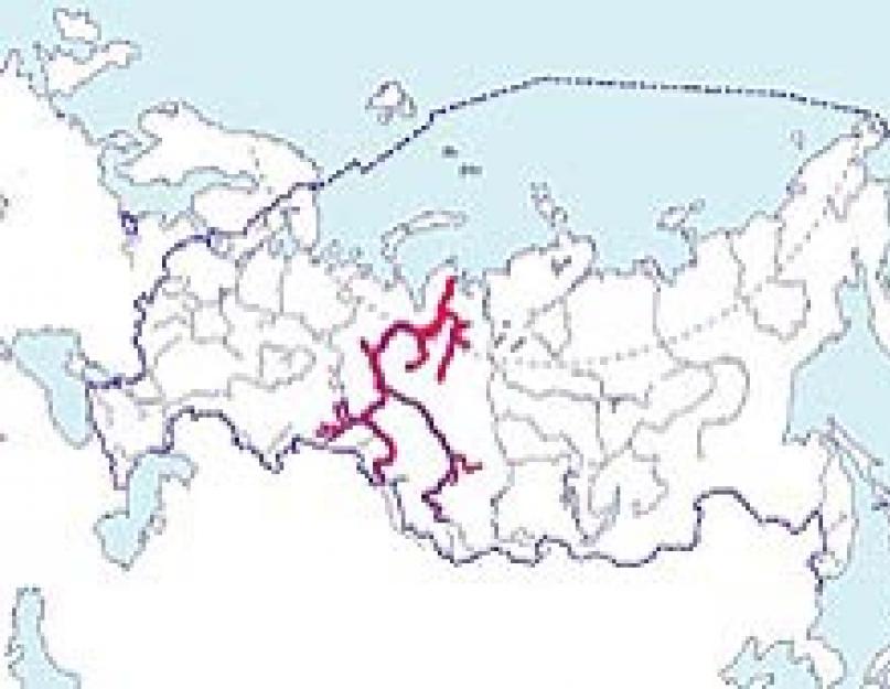 Az obi tokhal él.  Orosz tokhal: leírás és tenyésztési útmutató.  Szibériai tokhal és amur.  Szibériai tokhal: a takarmányozás és a gondozás jellemzői