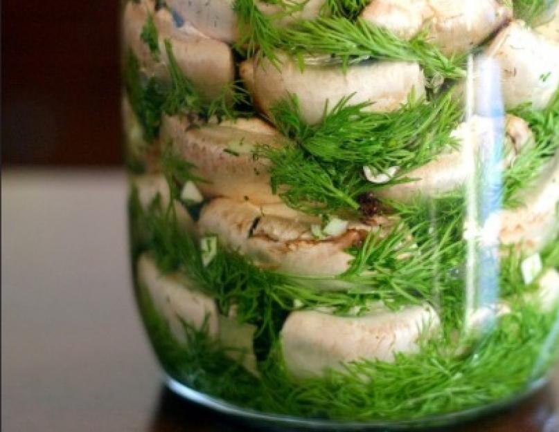 Валуй (гриб): приготовление в соленом и маринованном виде. Грибы валуи. Как готовить из них вкуснейшие блюда