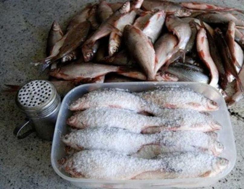 Как сушить рыбу в домашних условиях? Как засолить рыбу для сушки