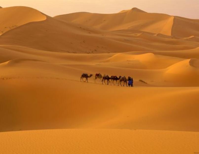 Sivatag természeti terület.  Sivatag – sík felszín, ritka vagy növény- és állatvilág hiánya által jellemezhető természetes terület Hol vannak a trópusi mérsékelt övi sivatagok