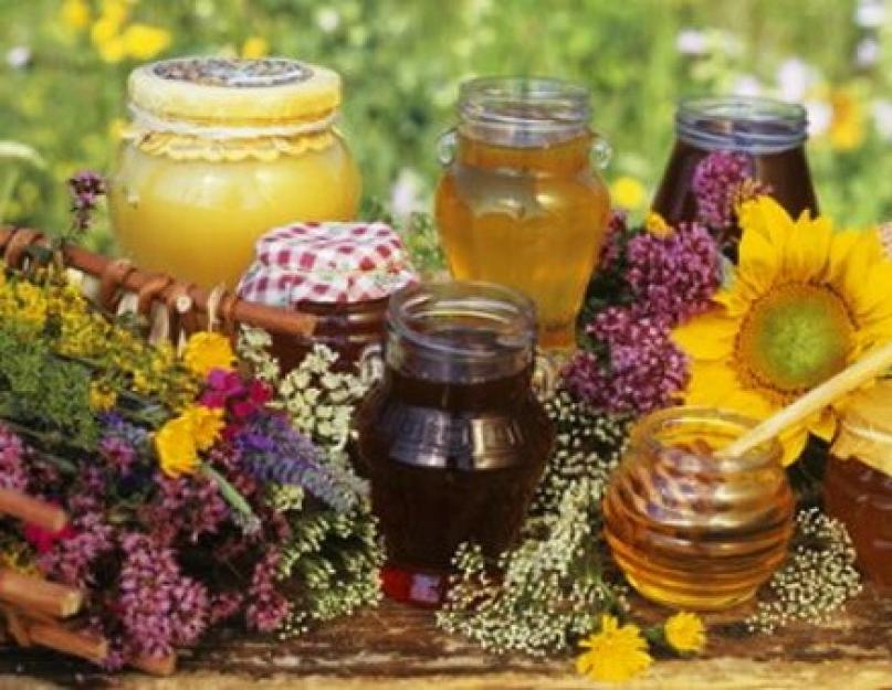 Как отличить мёд от подделки. Как определить настоящий мед – учимся отличать подделку