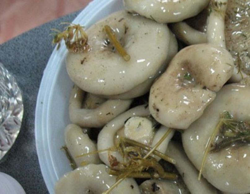 A agaric gomba sózása forró módon receptek.  Gomba hideg pácolás télre - házi receptek a gomba hideg pácolásához