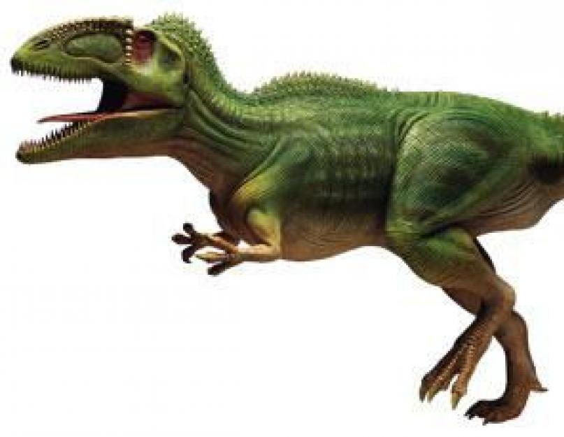 كم وزن الديناصور؟  ألغاز الديناصور ريكس.  كان لدى Tirex رائحة فم كريهة للغاية