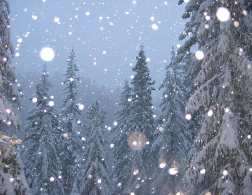 सर्दियों के बारे में लोक संकेत - ठंढी कहानी क्या बताएगी?  सर्दी का संकेत