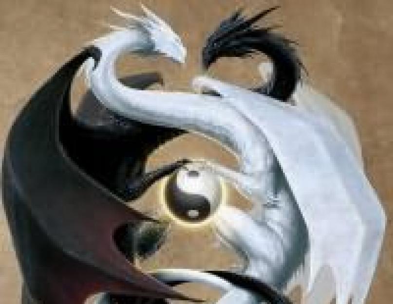 Yin ir Yang: begalinė judėjimo energija mumyse.  Kas yra yin ir yang