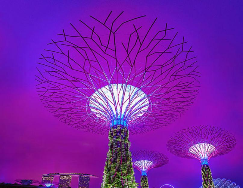 Висячие сады в сингапуре. Сады у залива в Сингапуре – одна из любимых достопримечательностей у туристов. Режим работы садов