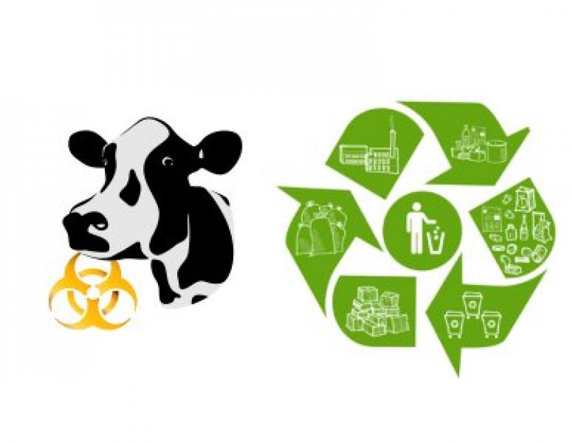 Способы и виды утилизации пищевых отходов. Пищевые отходы в детском саду – утилизация