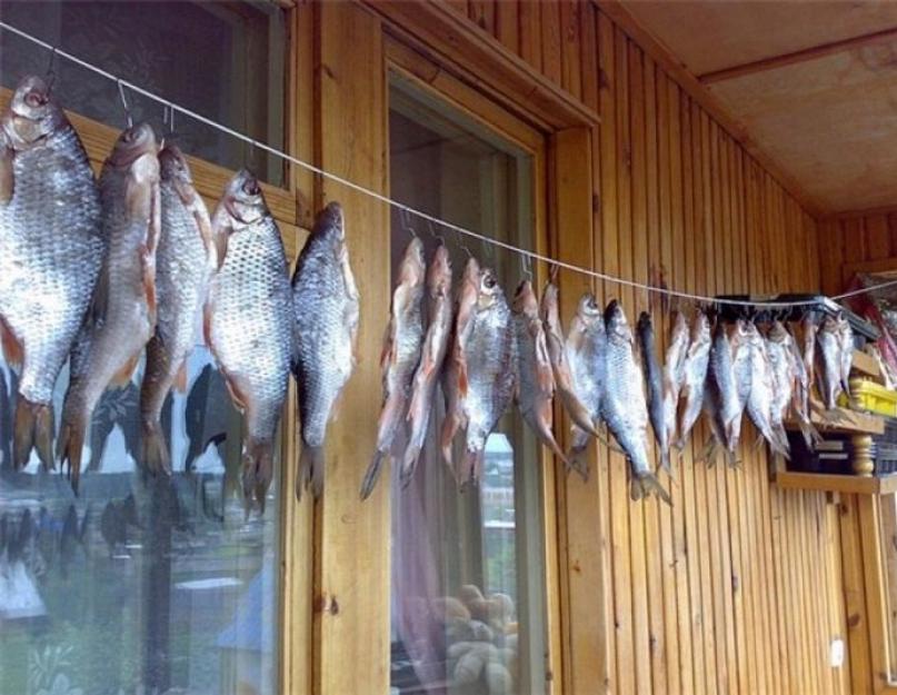 كيفية تجفيف الأسماك بشكل صحيح في المنزل.  كيفية الملح وتجفيف الأسماك بشكل صحيح في المنزل