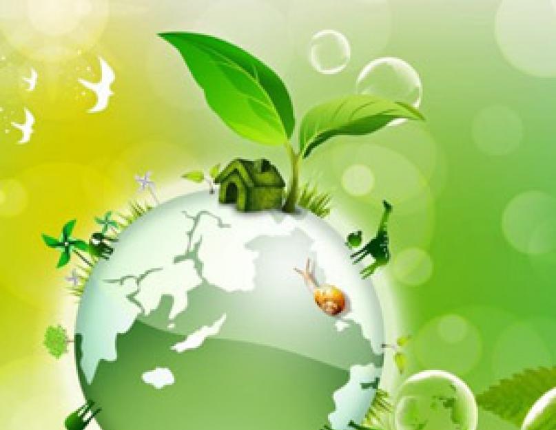 Az ökológus napja modern ünnep.  Környezetvédelmi világnap.  Ökológusok napja Oroszországban A Balti-tenger nemzetközi napja