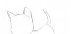 كيفية رسم قطة بقلم رصاص