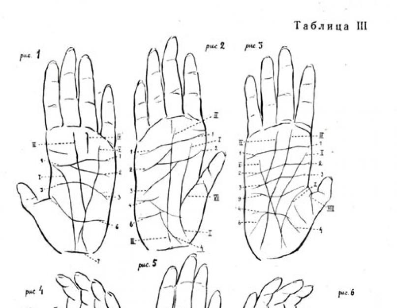 Противопоставленный большой палец у приматов. Человеческая рука оказалась древнее обезьяньей. Различия в поведении
